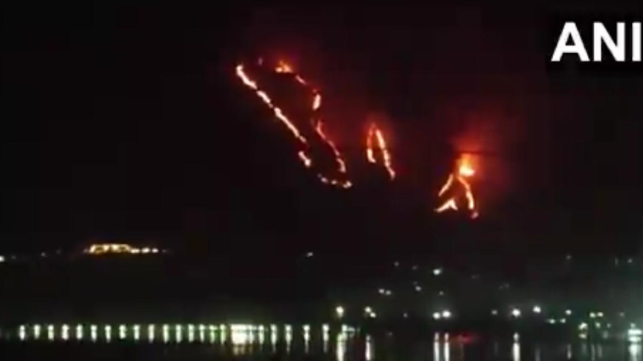 Wildfire Breaks Out In Jammu and Kashmir, Engulfs Zabarwan Range | Watch Video