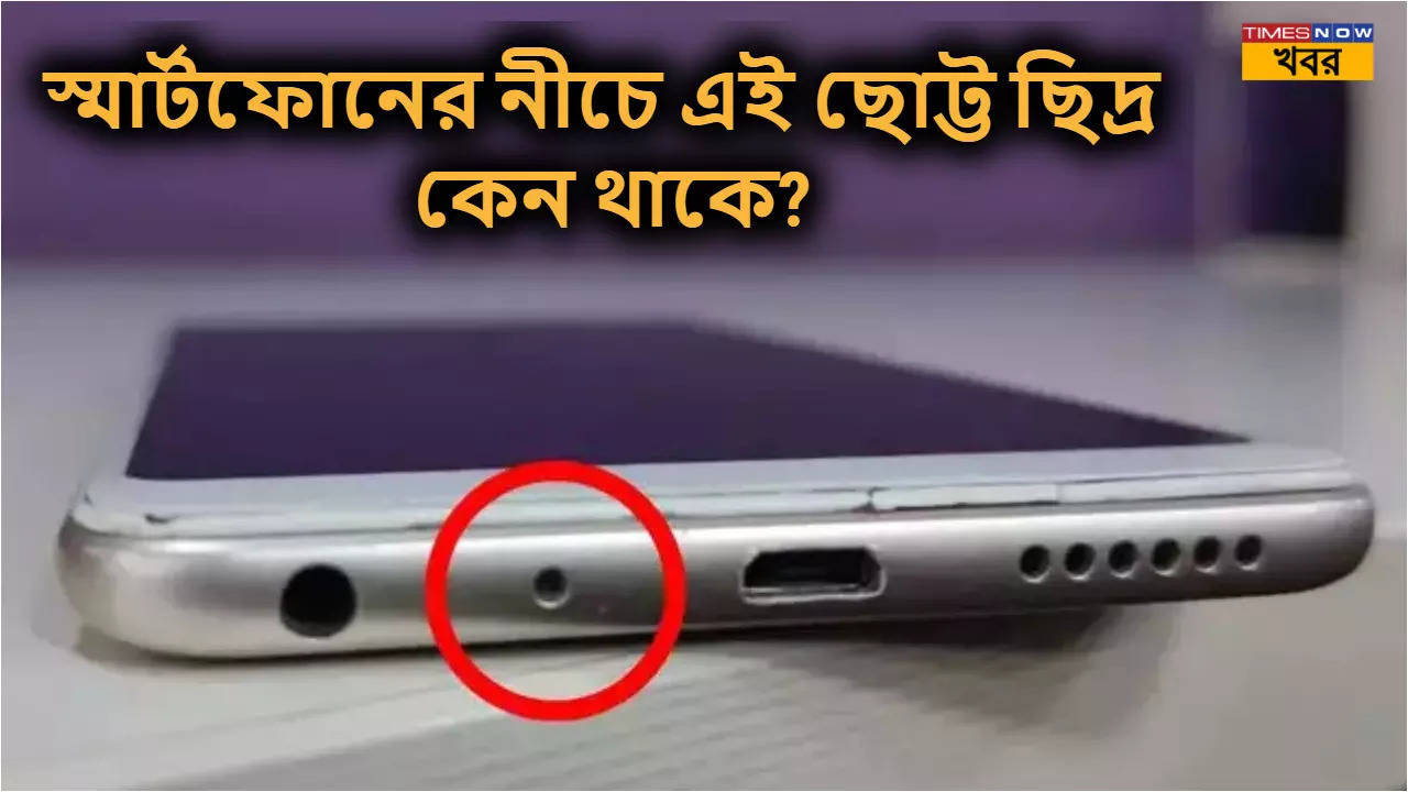 smartphone hole why does all phones have small hole near the charging port