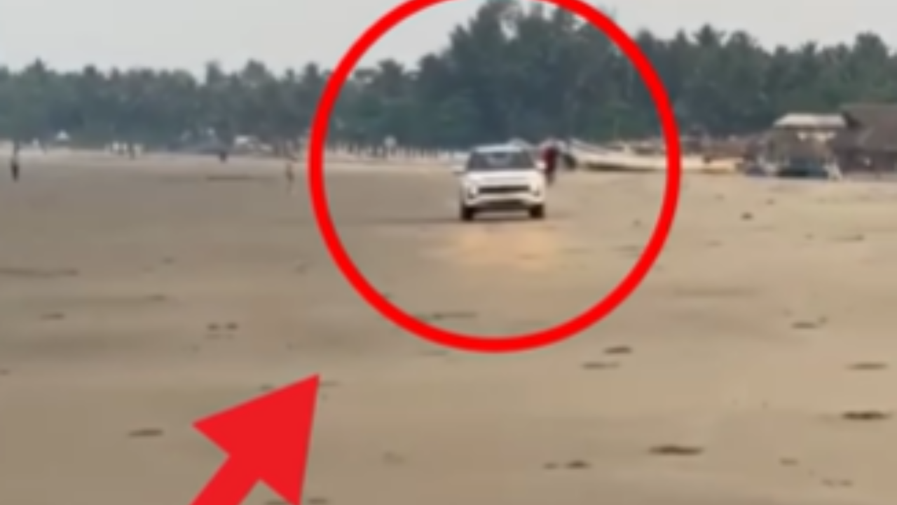 Delhi Man Drives SUV Near Turtle Nesting Beach in Goa.