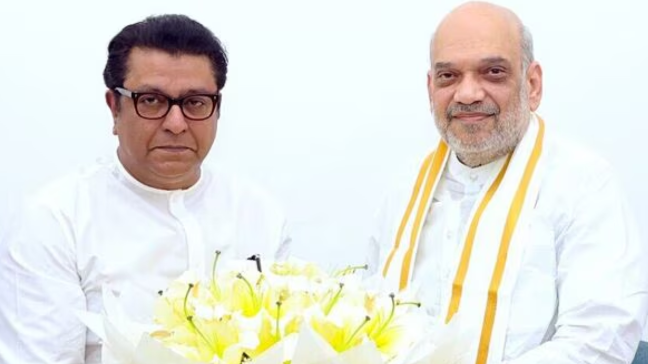 raj thackeray and amit shah 