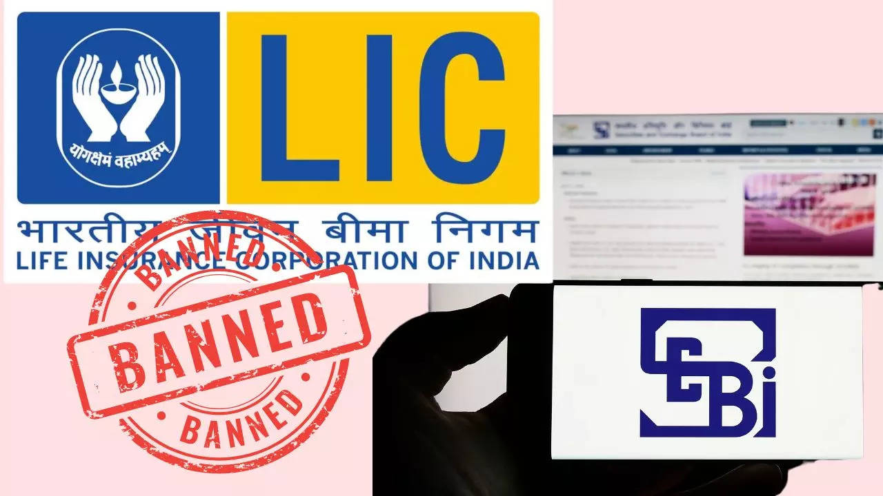 SEBI Confirms Involvement of LIC Employee, Other Entities in Front-Running Case of 'Big Client'; Markets Regulator Imposes Ban