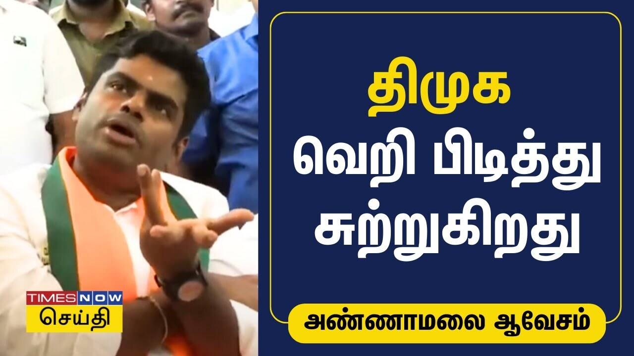  திமுக வெறி பிடித்து சுற்றுகிறது - அண்ணாமலை ஆவேசம் | Annamalai | BJP | Lok Sabha Election 