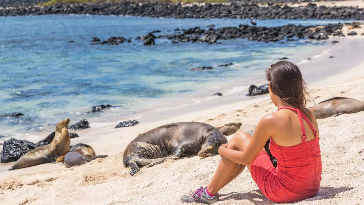 Galapagos Islands are doubling entry fees from August 2024. Credit: Canva