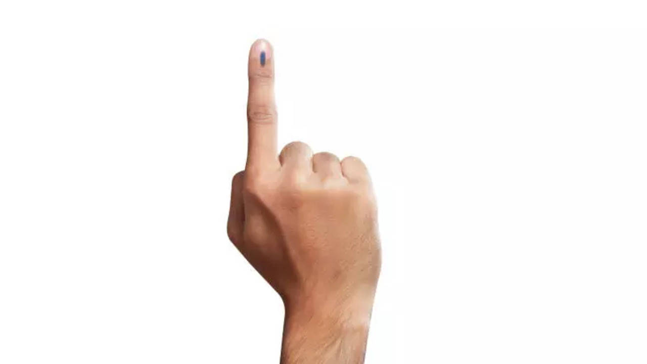 Lok Sabha Election 2024: How To Vote If You Live In A Different City?