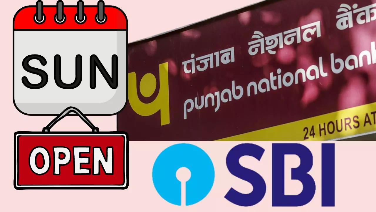 THESE Bank Branches To Remain Open on Sunday, March 31 After RBI Directive - Check Full List of Banks