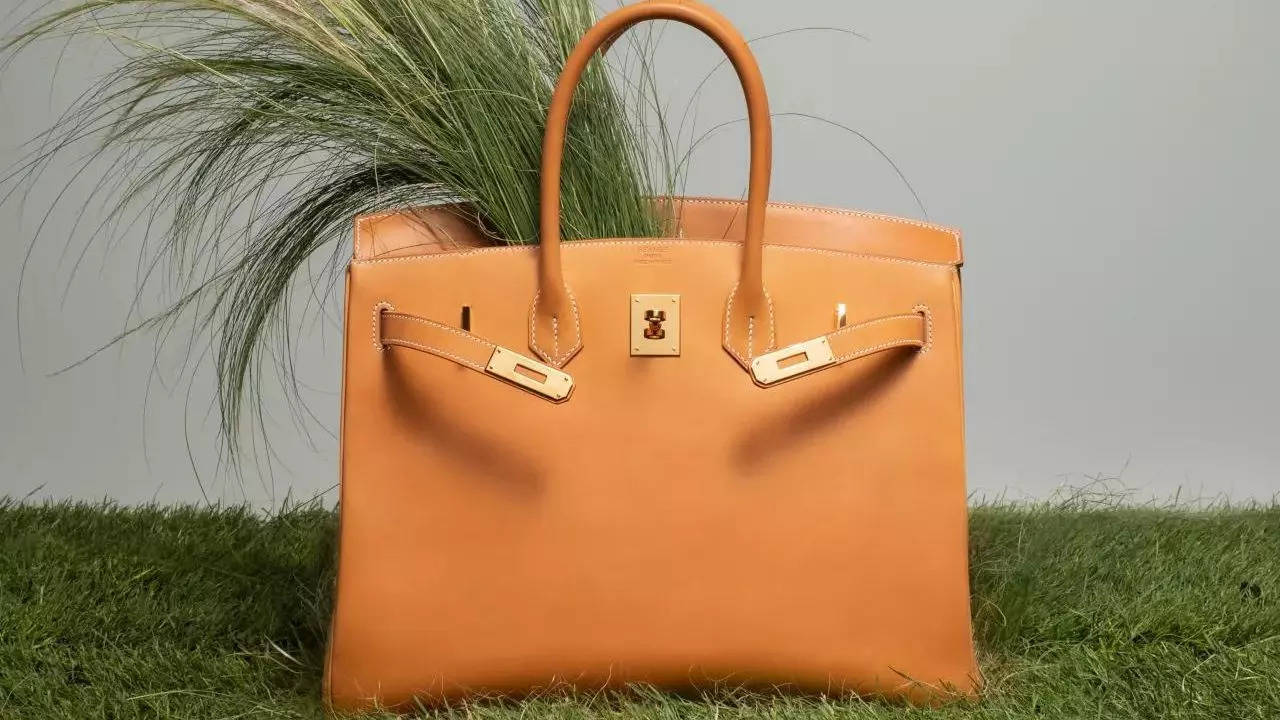 Hermes Birkin Bag: Hermès Faces Class Action Lawsuit Over Its Coveted  Birkin Bag Sales