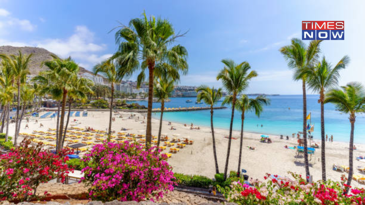 Rs 2 Lakh Fine For Picking Rocks From Beaches - Canary Island's New Rules For Tourists