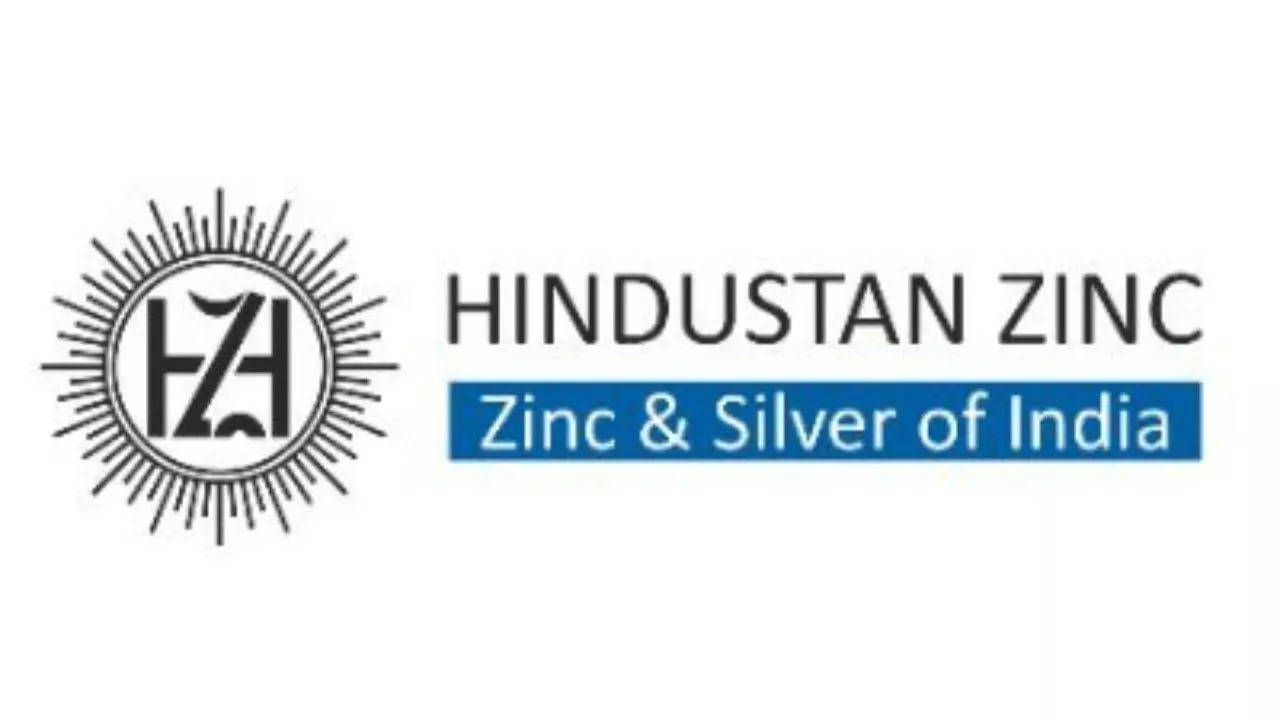 The government sees no valuation creation in Hindustan Zinc's split proposal for shareholders