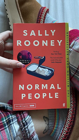 Normal People Summarised in 2 Minutes