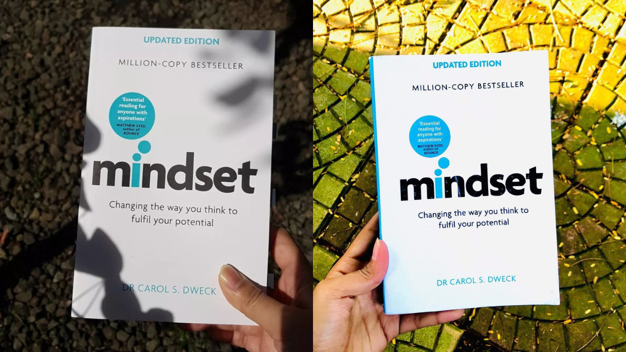 Mindset Book