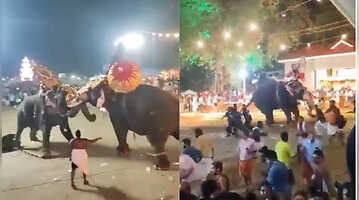 Viral Video Elephant Attacks Fellow Captive During Kerala Temple Event