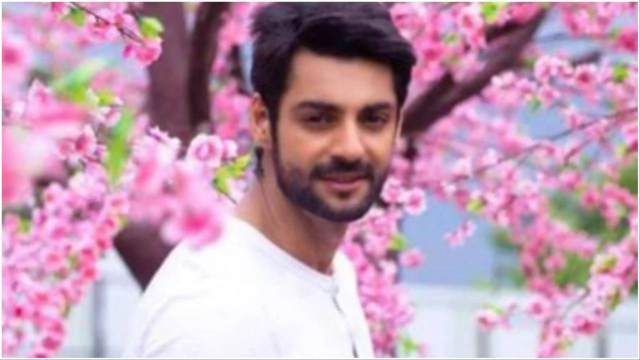 Holi 2024: Karan Wahi Reminisces Dilliwali Holi; Shares How He Plans To Celebrate This Year