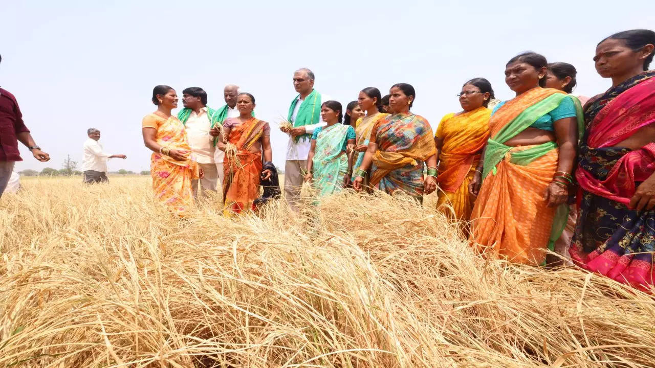 MINISTER HARISH RAO