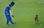 WATCH Dog Interrupts Play During GT Vs MI IPL 2024 Match Hardik Pandyas Reaction Goes VIRAL