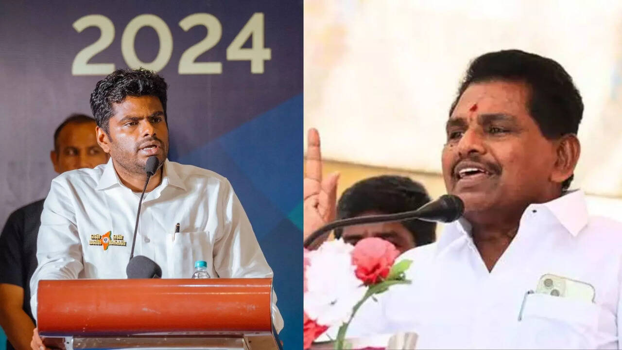  பிரதமர் குறித்து அவதூறு : அமைச்சர் அனிதா ராதாகிருஷ்ணன் மீது தேர்தல் ஆணையம், டிஜிபியிடம் புகார் - அண்ணாமலை 