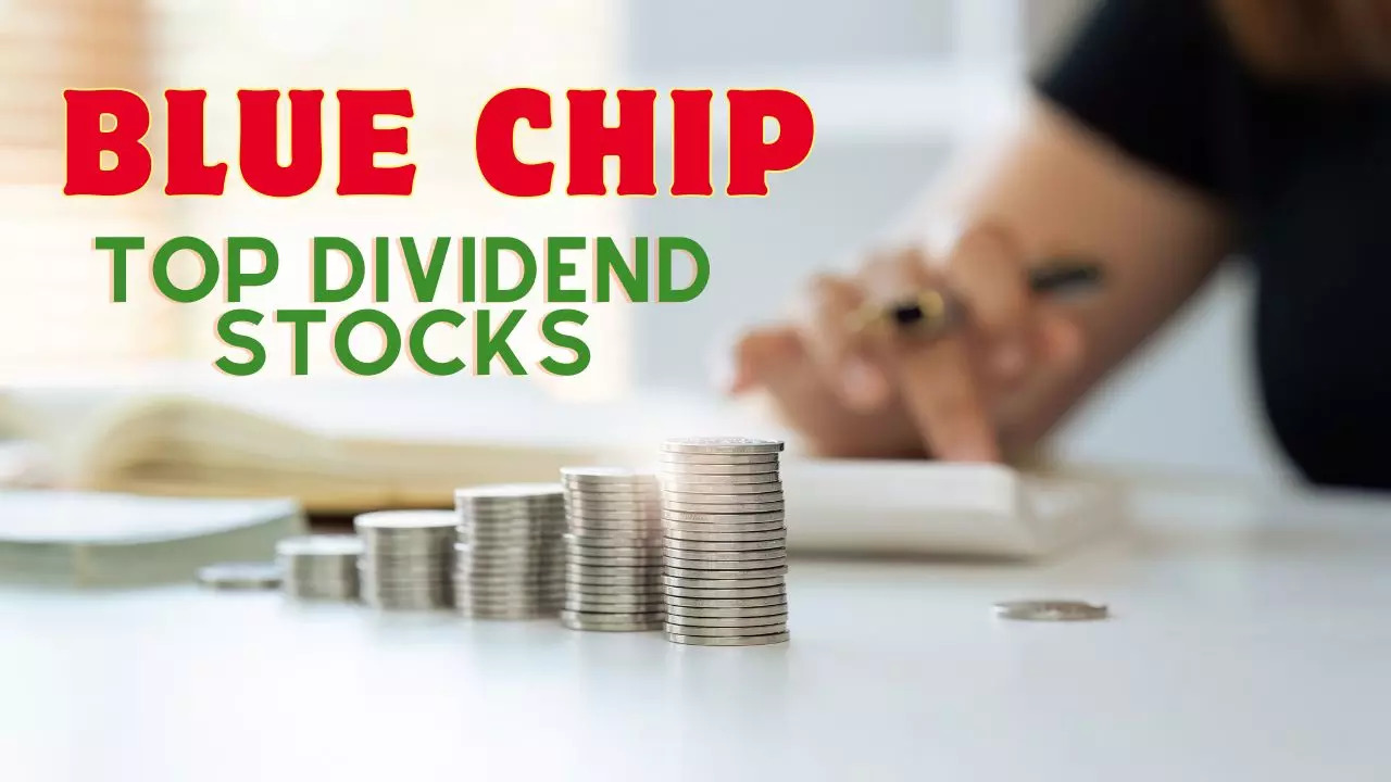 India's Top 15 Dividend Yield Large Cap Companies - Full List