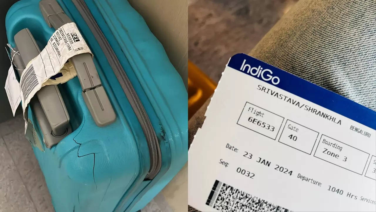 Indigo damaged baggage online