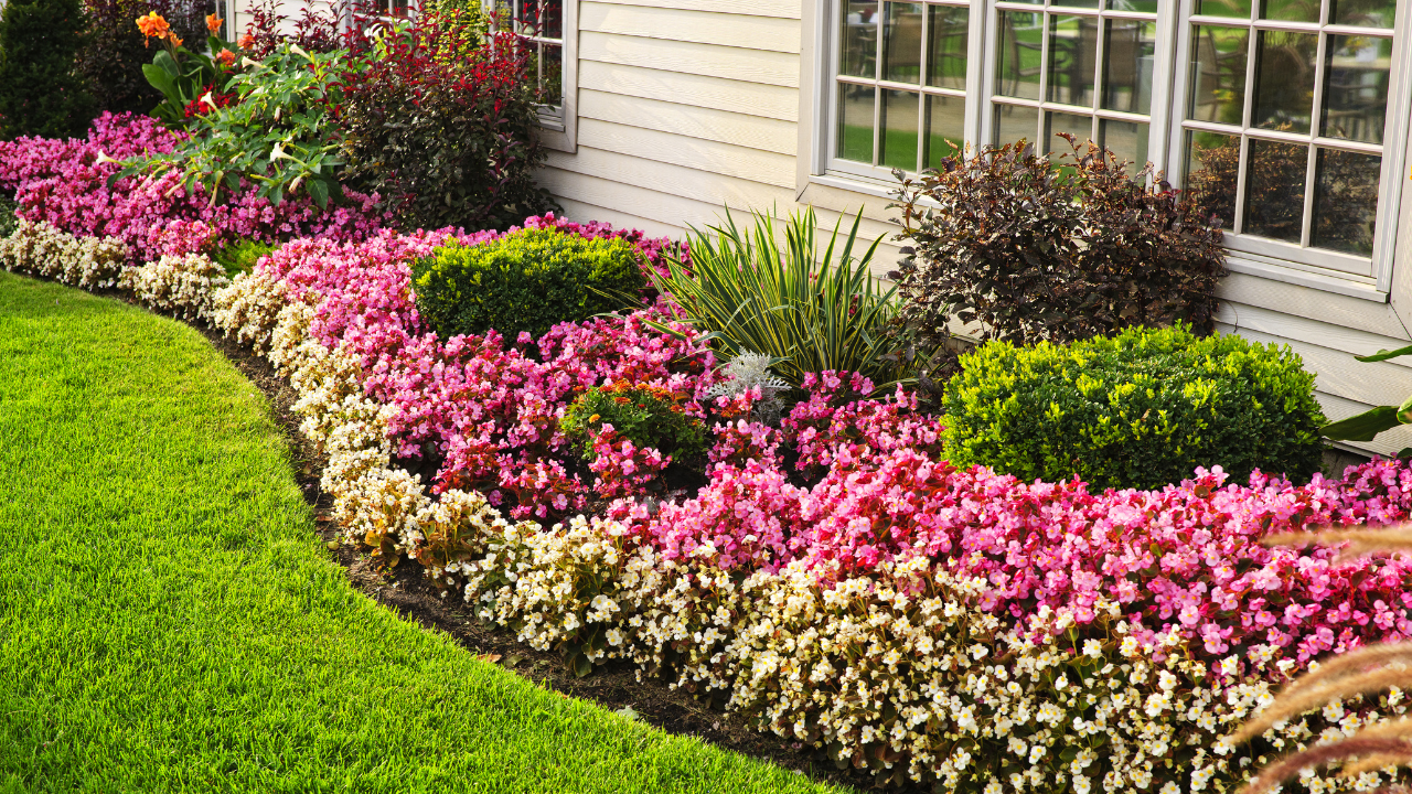 Simple Tips To Create A Beautiful Home Garden