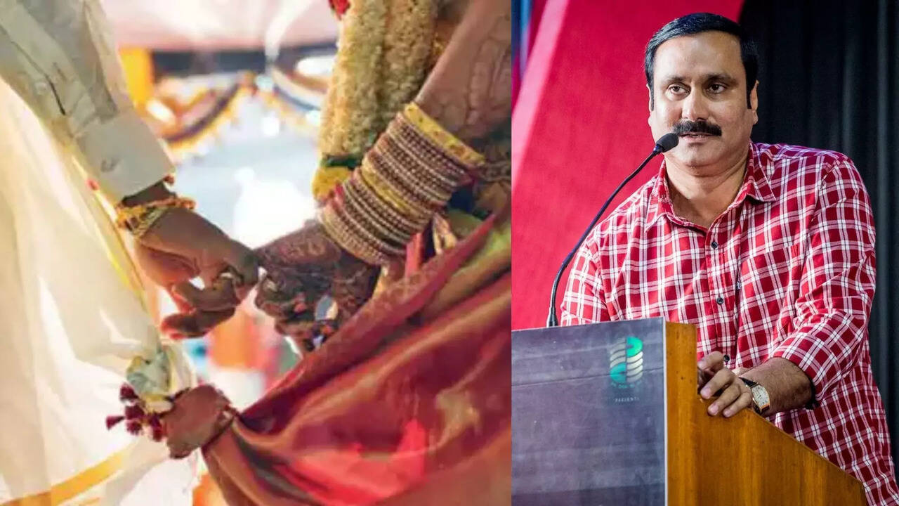  நாடக காதல் தடுப்பு: பாமக தேர்தல் அறிக்கையின் முக்கிய அம்சம் குறித்து அன்புமணி ராமதாஸ் விளக்கம் 