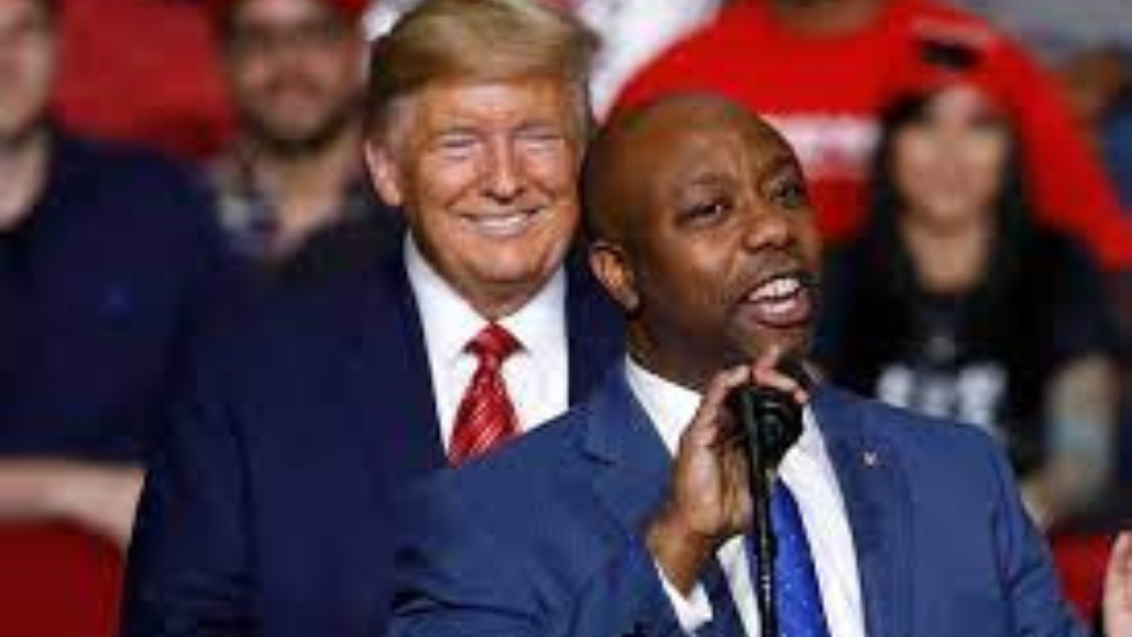 Donald Trump and Tim Scott