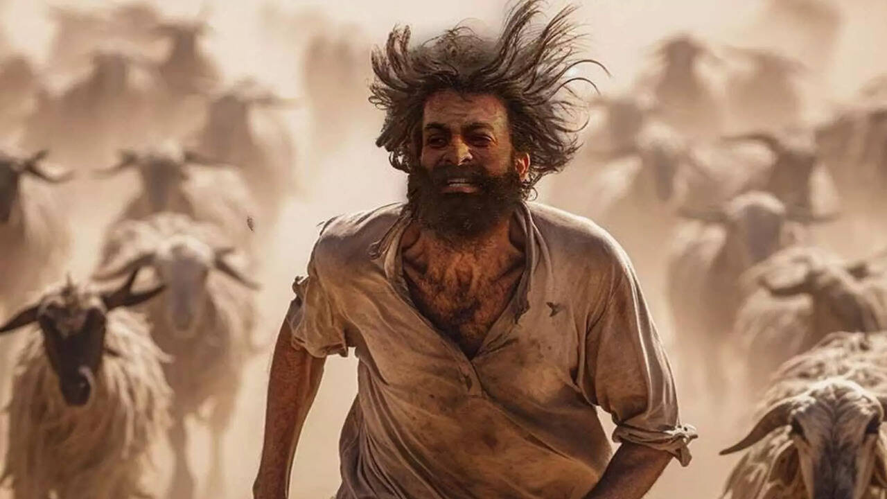  The GoatLife Review: தி கோட் லைஃப் - ஆடுஜீவிதம் படம் எப்படி இருக்கு? 14 வருட உழைப்புக்கு பலன் கிடைத்ததா? 