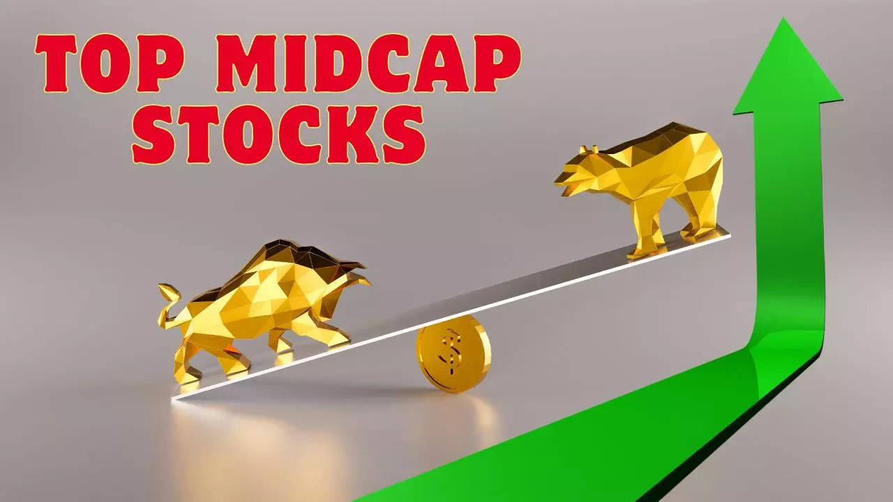 Nykaa, Voltas, Titagarh Rail and More: HSBC Recommends Top Midcap Stocks With Upto 55 pc Upside Potential