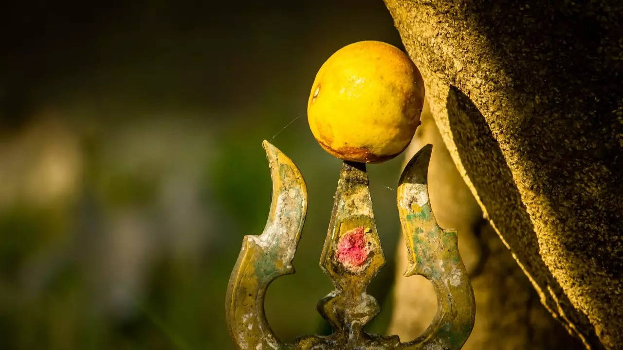 Villupuram temple auctions these lemons at its annual 9-day festival. | Representative image