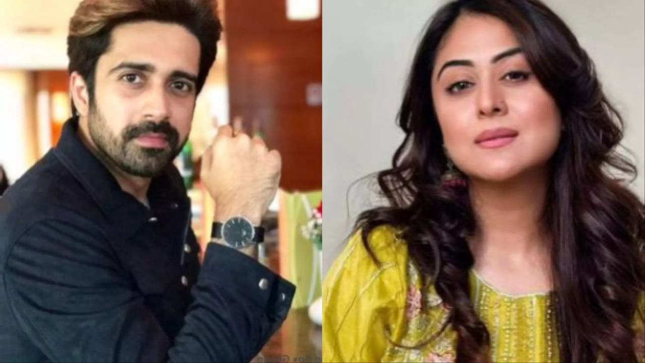 Avinash Sachdev REVEALS The Reason Behind Unfollowing Falaq Naaz on Instagram