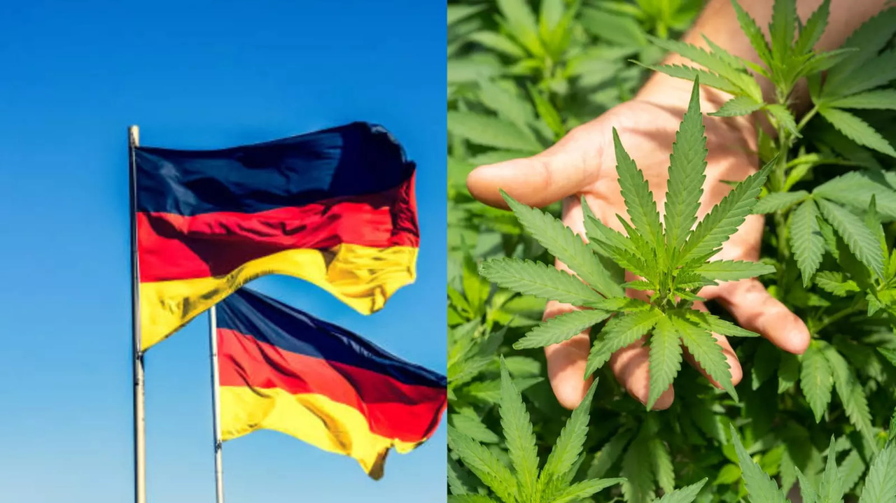 Cannabis Legalized In Germany