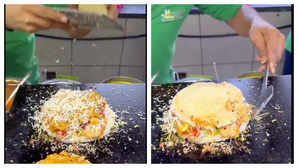 Idli Burger Goes Viral This New Age Dish Makes Netizens Unhappy With This Innovation