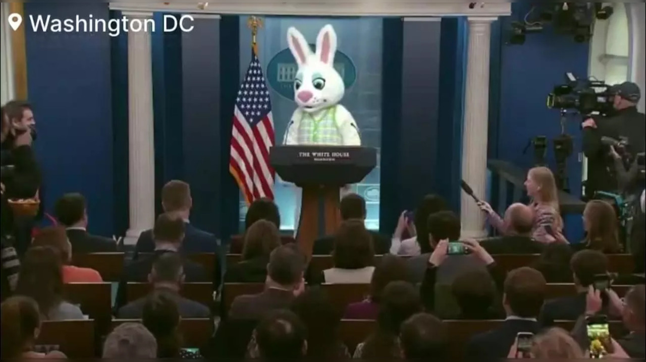 Easter Bunny At White House Briefing