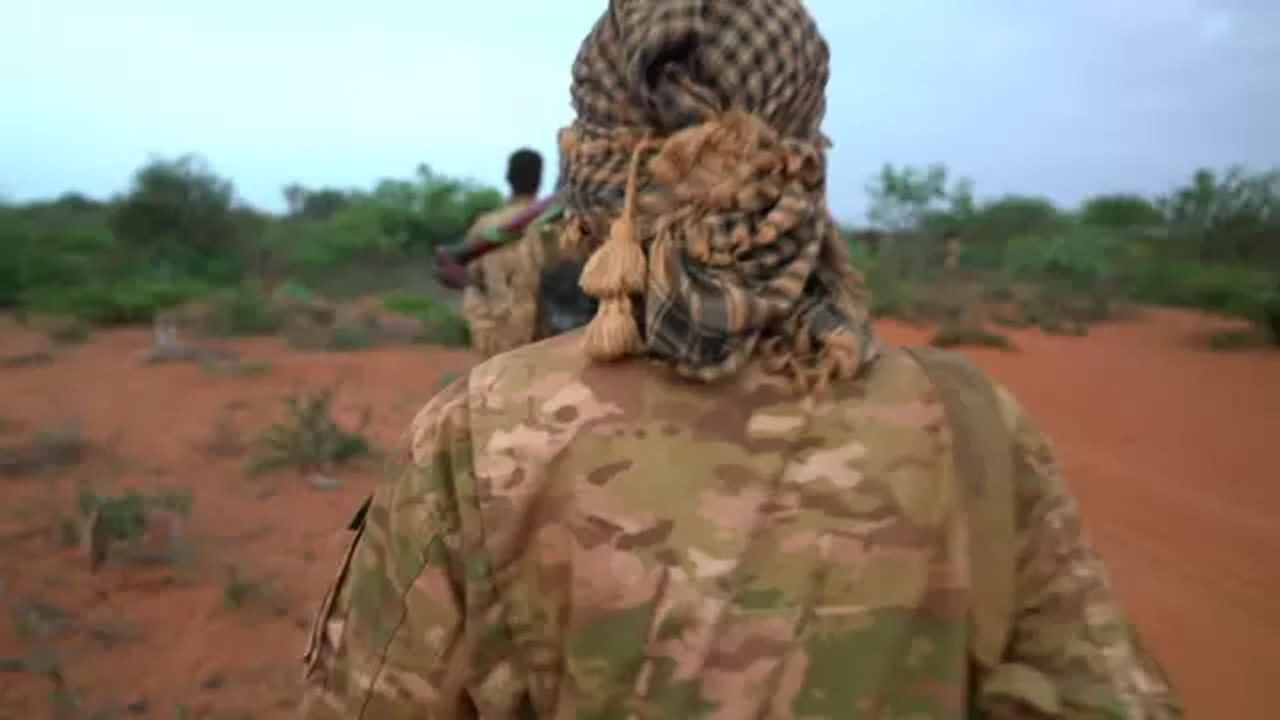 Al-Shabaab Man In USA