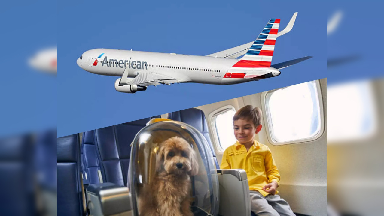 American Airlines' New Pet Provision