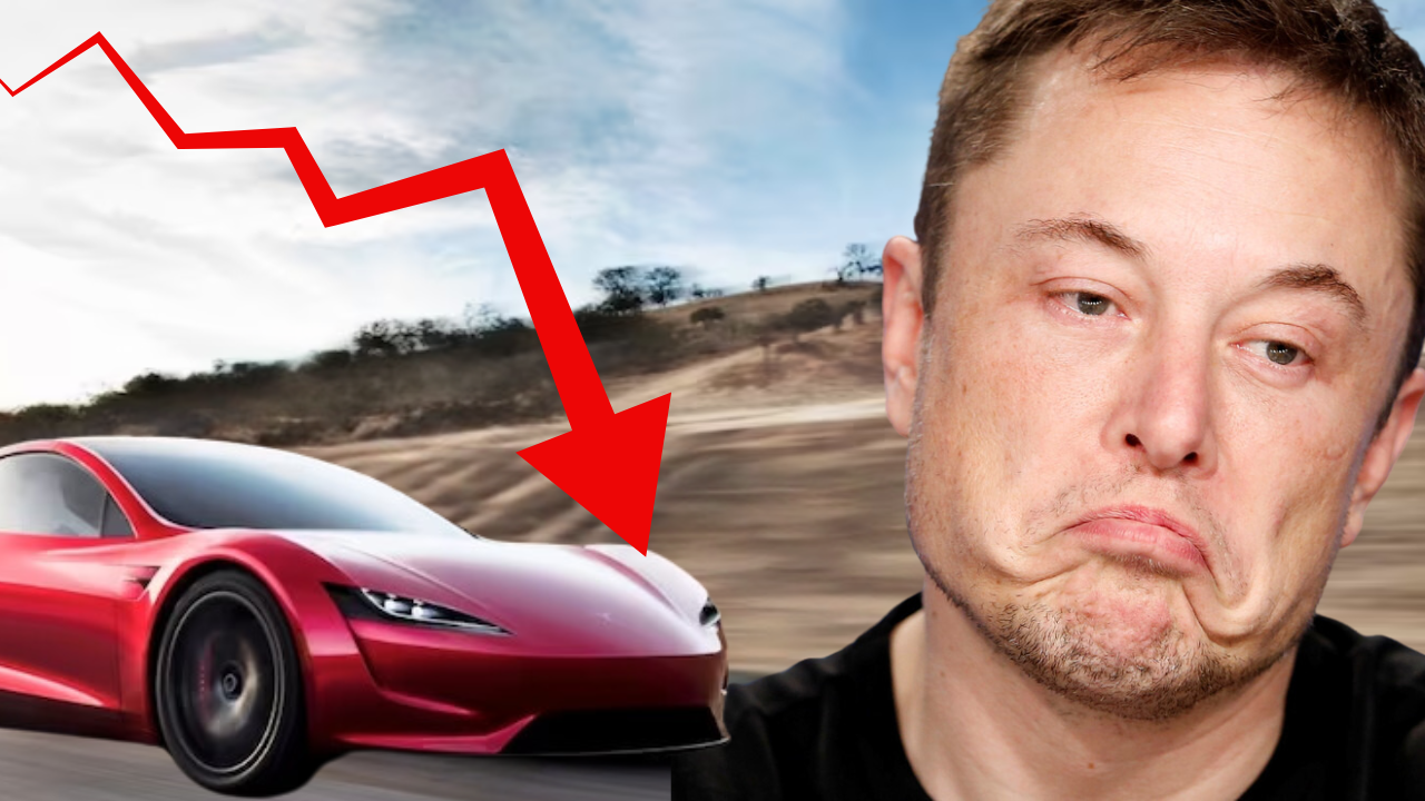 Elon Musk, Tesla, EV Sales, Sales Decline, Car Sales News, Read Sea,