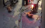 UP Shocker Street Dog Thrashed Brutally In Gomti Nagar  Dragged Behind Bike Disturbing Video Surfaces