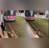 Heroic Rescue Stray Dog Saved Near Railway Tracks  Viral Video