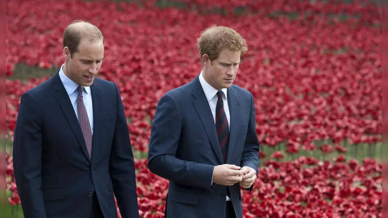 Harry and William - Estranged Brother to Reunite?