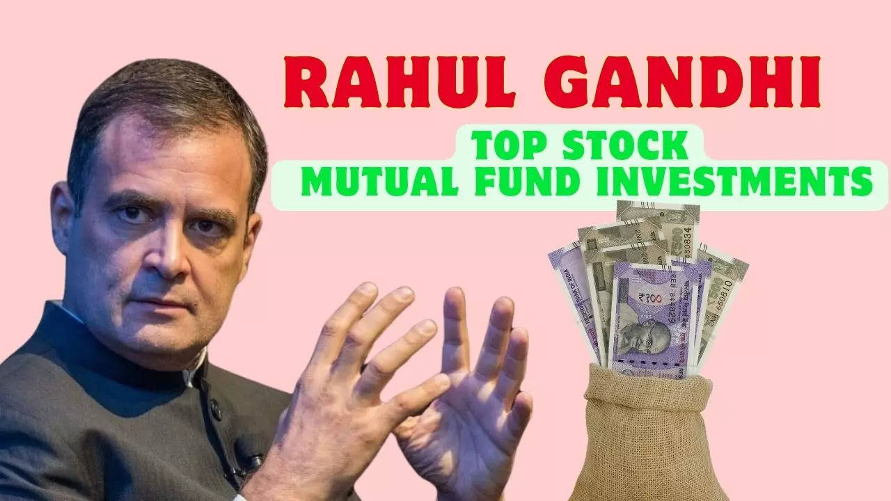 Parag Parikh Flexi Cap, Nestle, HUL, Pidilite and More: Rahul Gandhi Full Portfolio Revealed - Top Stocks, Mutual Fund Investment by Congress Leader