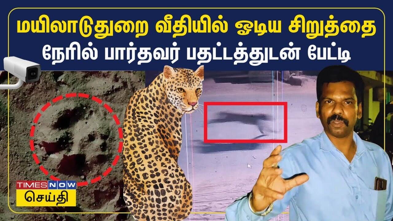 மயிலாடுதுறை வீதியில் ஓடிய சிறுத்தை.. நேரில் பார்தவர் பதட்டத்துடன் பேட்டி | Mayiladuthurai Leopard 