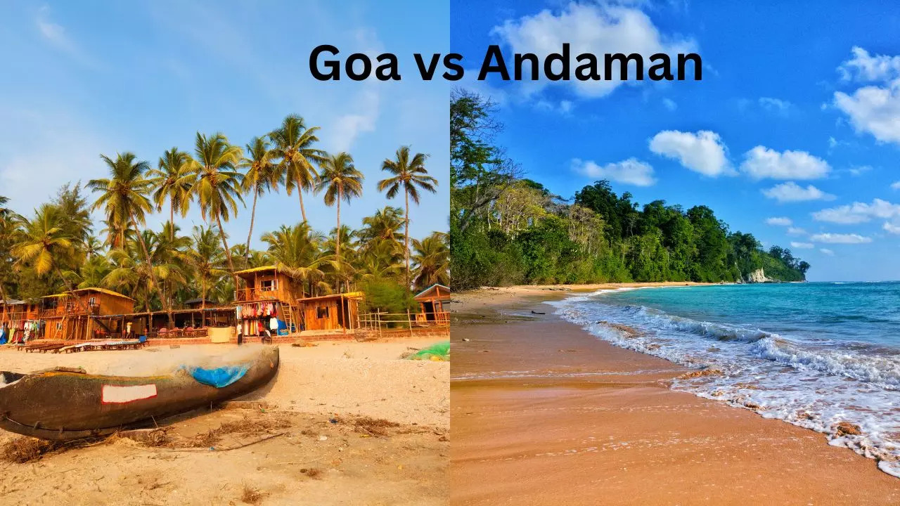 Goa vs. Andaman: What Should You Pick For Your Summer Vacation. Credit: Canva