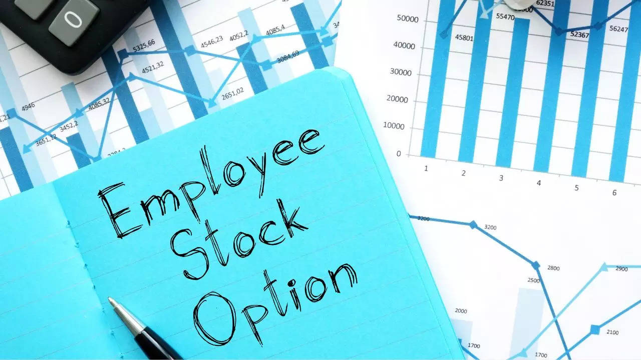 Good New for Govt Bank Employees! Stock Options to Employees Likely After Lok Sabha Elections; Check Latest Updates