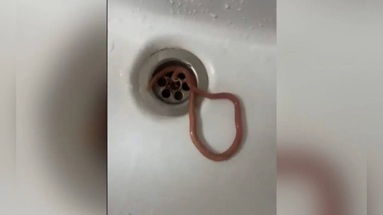 Netizens Horrified as Viral Video Shows Man Vomiting Live Worm