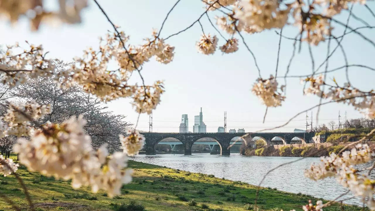 Spring Blooms at Schuylkill River Fairmount Park