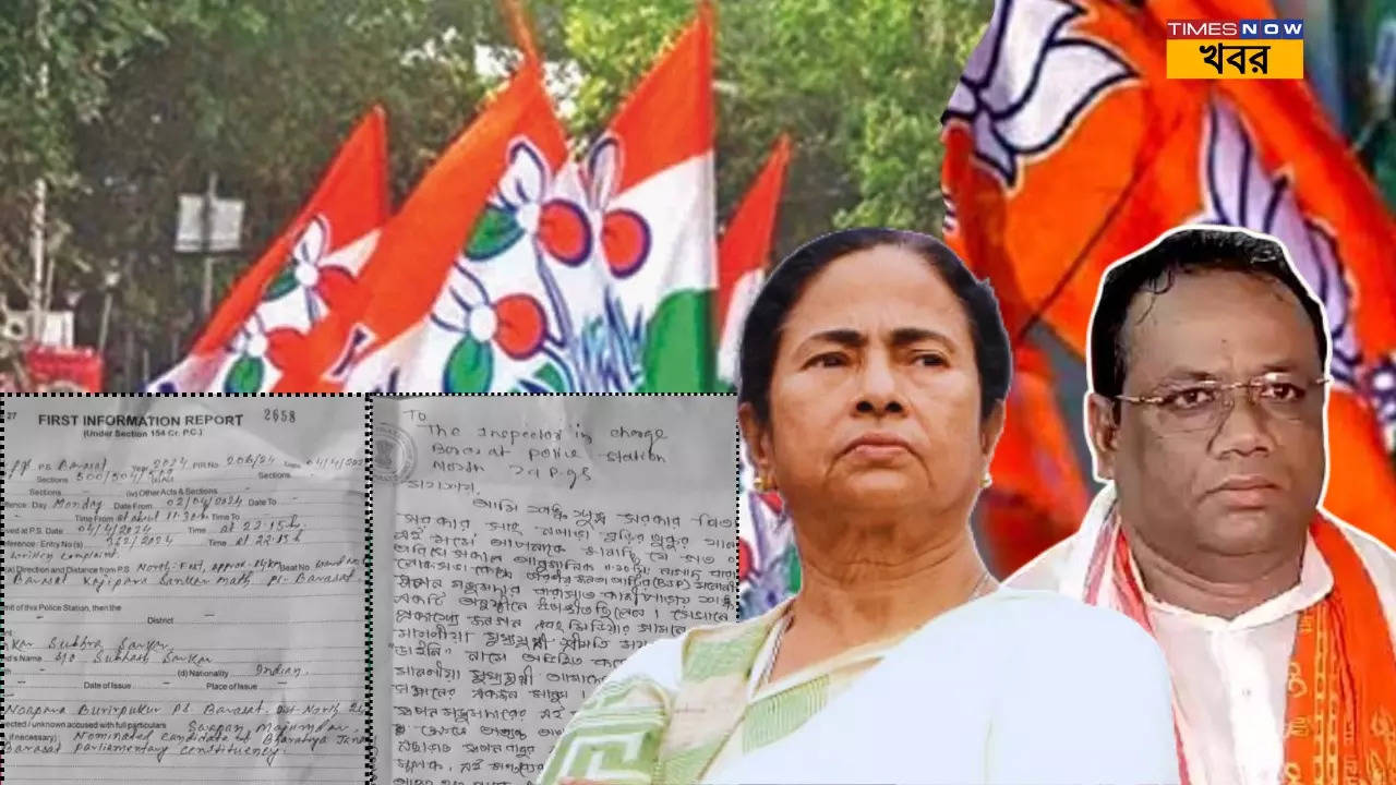 low level remarks against mamata.