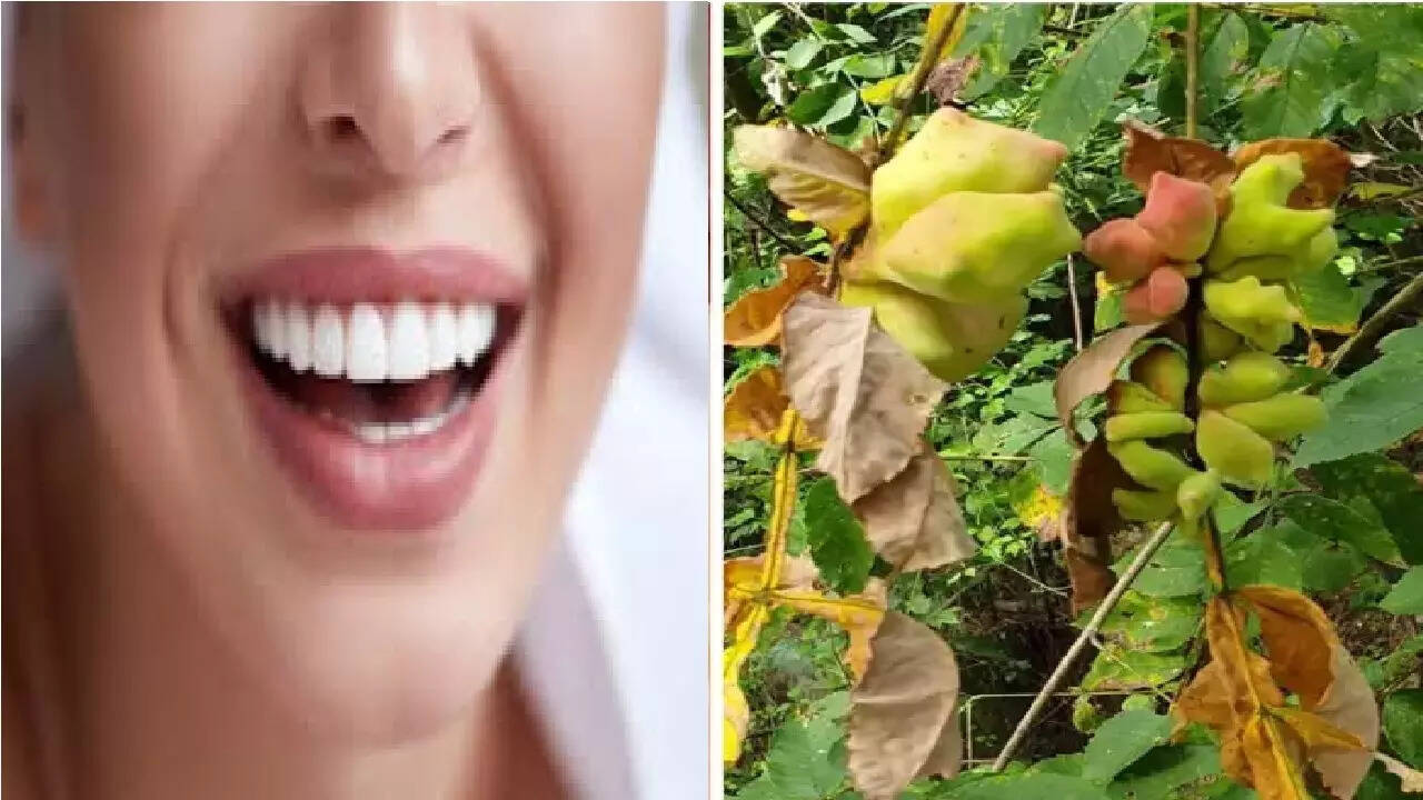 Teeth Whitening Home Remedies दातांच्या अनेक समस्या नष्ट करेल ही