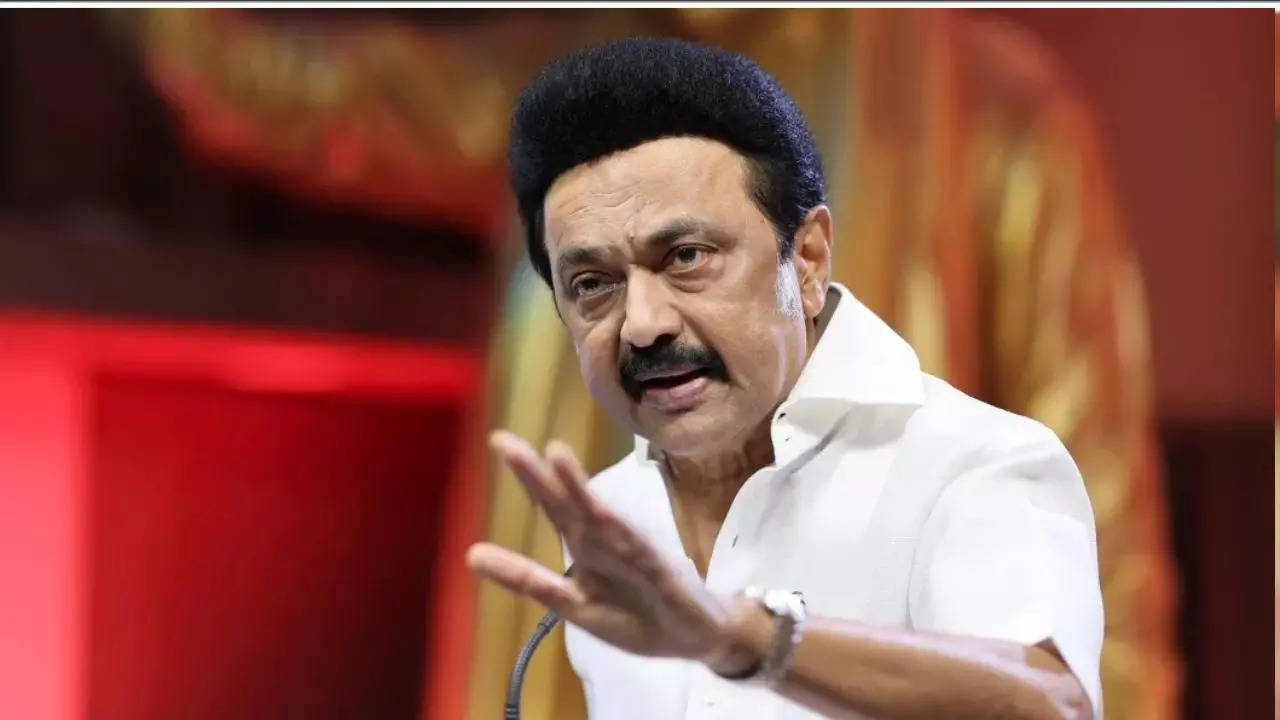 MKStalin speech