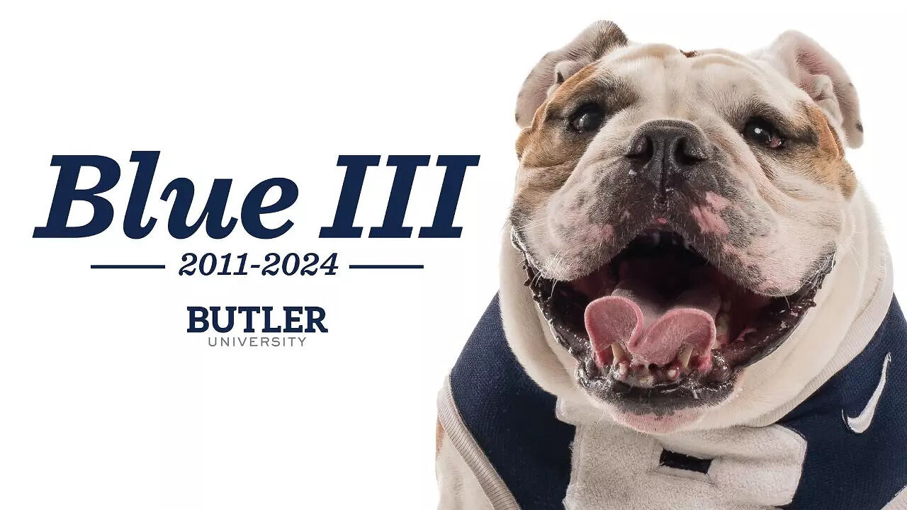 Butler University Mascot: RIP Butler Blue III: Retired Butler ...