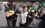 Greta Thunbergs Netherlands Arrest Video Goes Viral What Happened At The Hague Protest