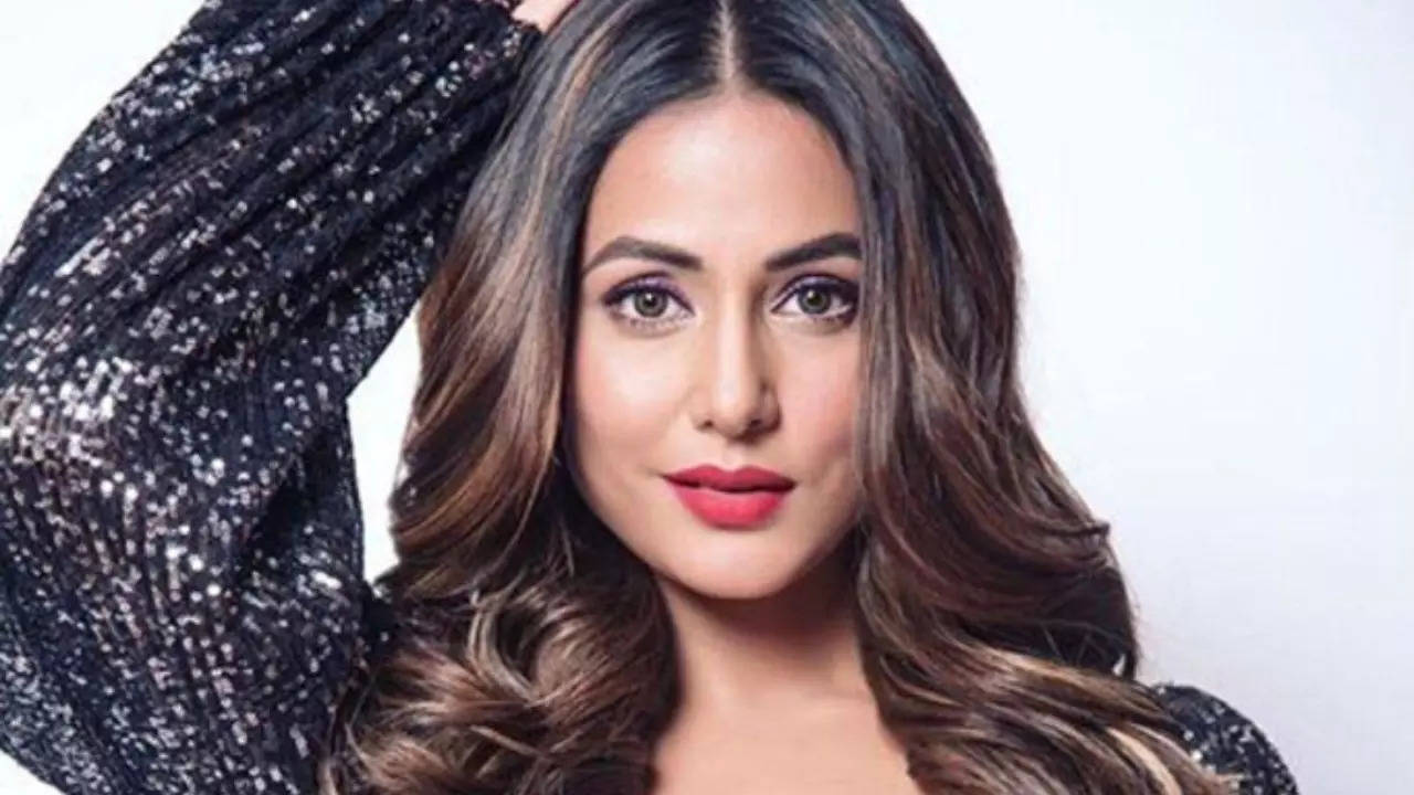 Hina Khan Talks About Her Punjabi Debut Film Shinda Shinda No Papa: 'I Had An Absolute Blast'