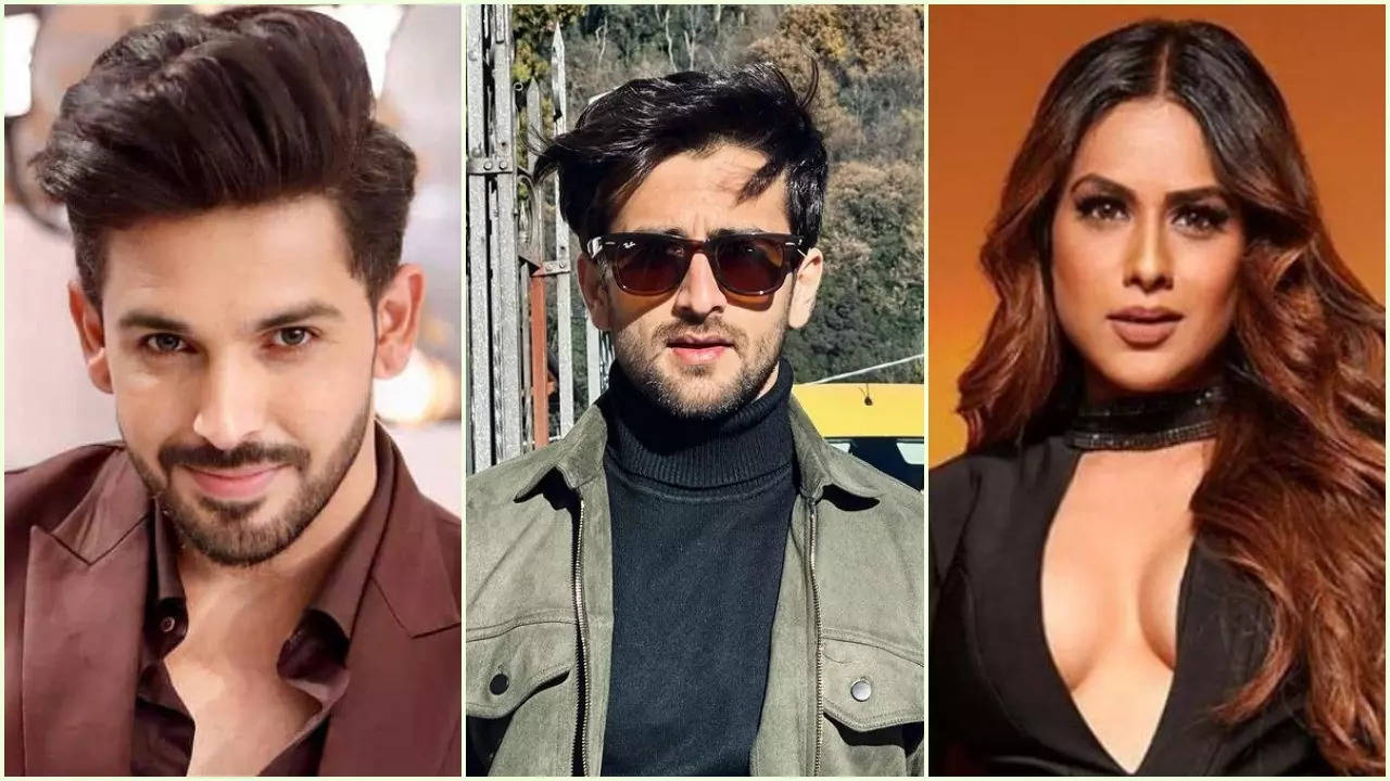 Suhaagan Chudail: Not Shehzada Dhami But Zayn Ibad Khan Likely To Play Lead Opposite Nia Sharma